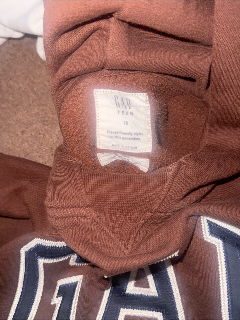 GAP Brown Hoodie with Navy & White Lettering